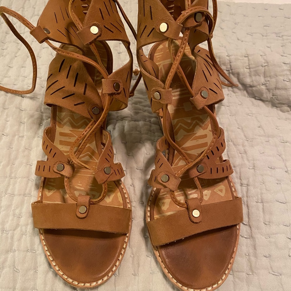 Dolce vita “Luci” shoe